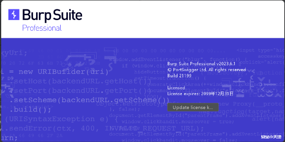 最新BurpSuite2023.6.1专业版下载 支持任意版本-安全小天地